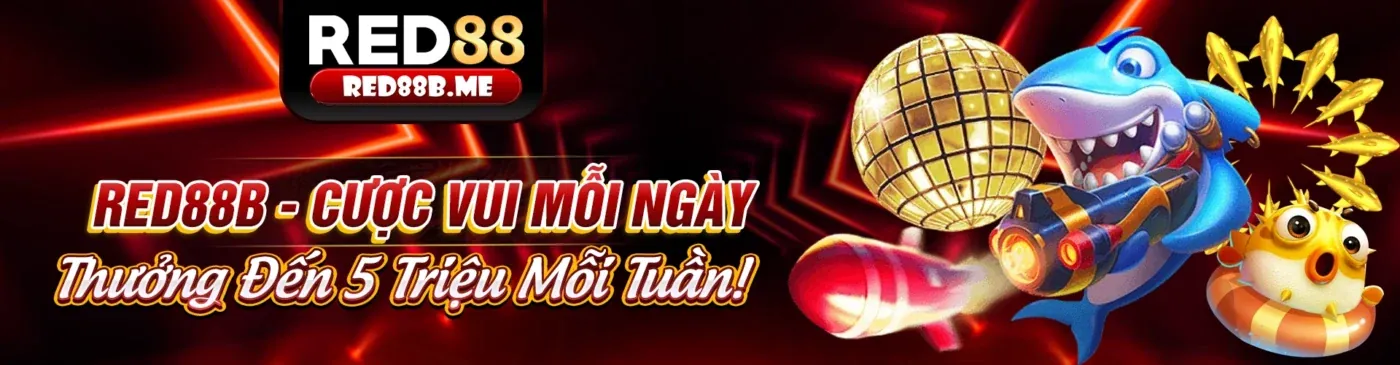Đá gà trực tuyến tại momo88 win với không khí sôi động và hấp dẫn